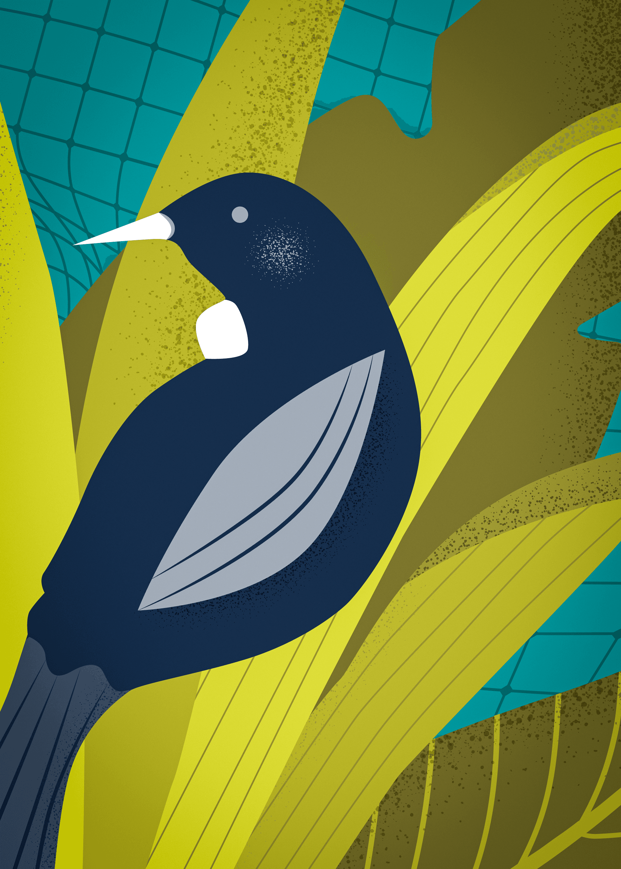 Auckland Variant #4